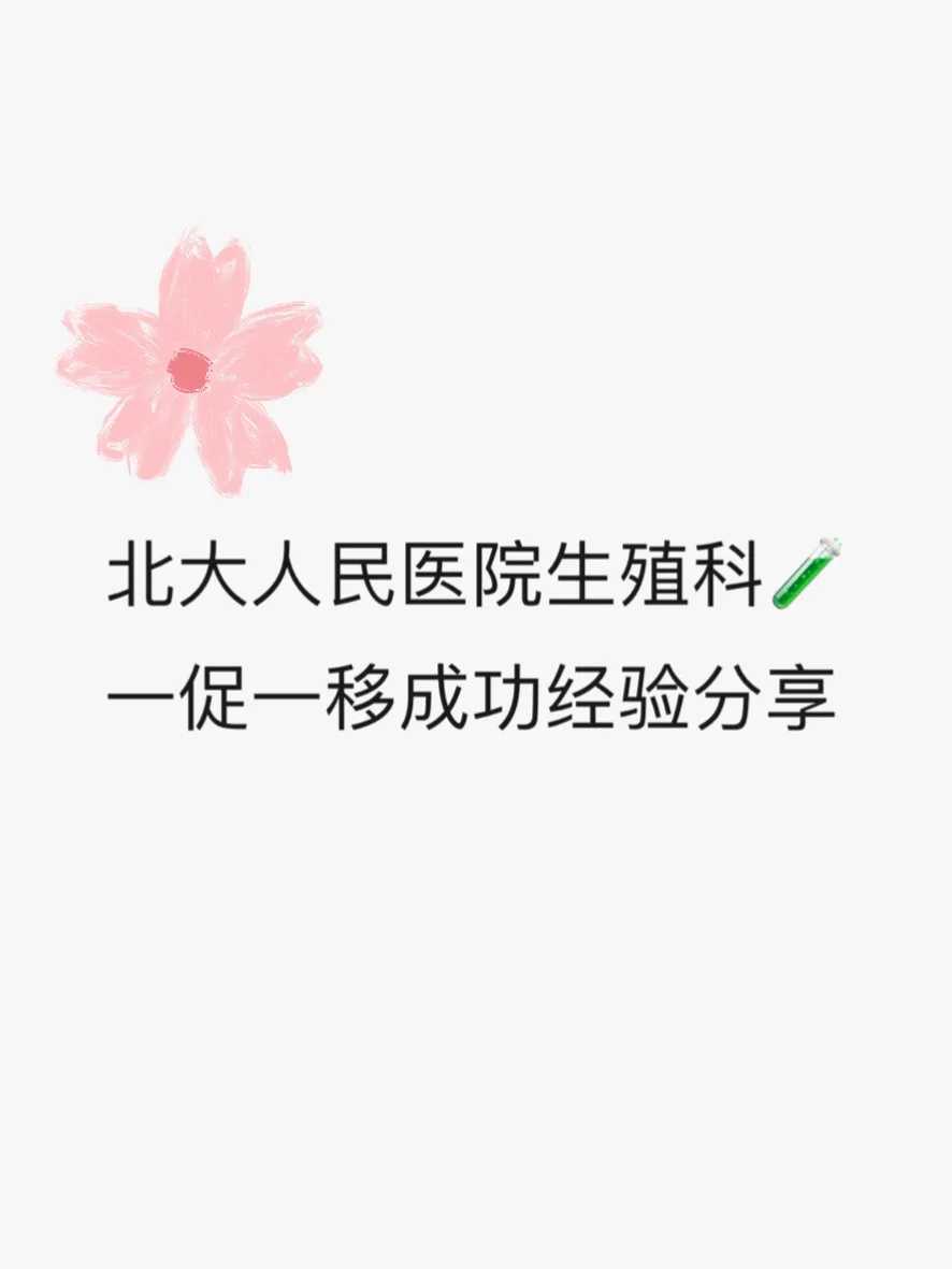 呼和浩特三代试管与蒙古族传统医学融合助孕成功案例解析